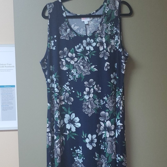LuLaRoe Dresses & Skirts - NWOT LulaRoe Dani